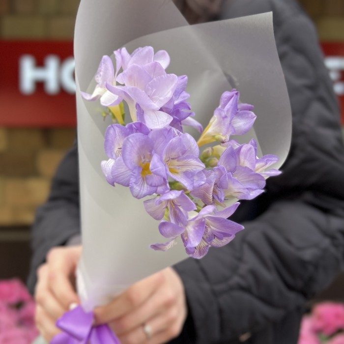 5 фиолетовых фрезий